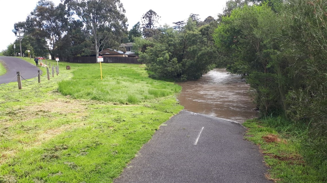 Floodwaters crossing a footpath in a bushland