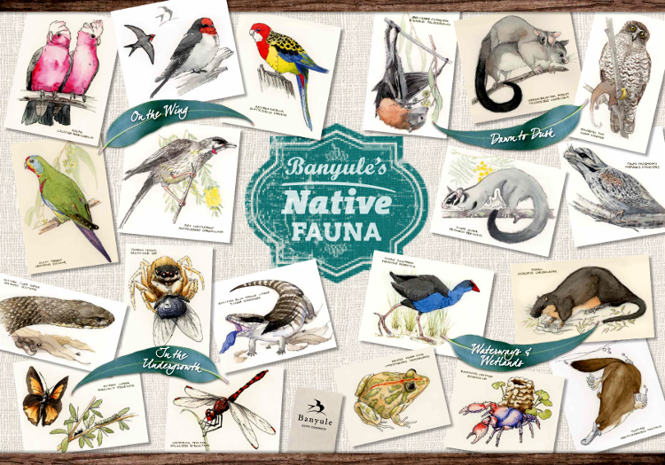 Banyule's native fauna poster