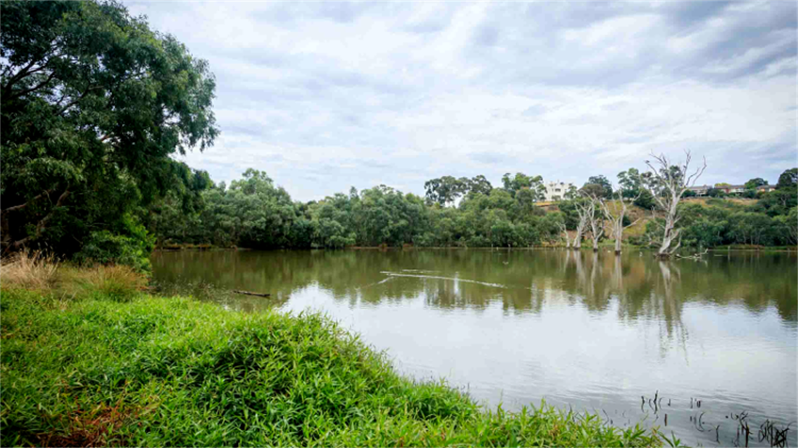 Banyule Flats Reserve landscape