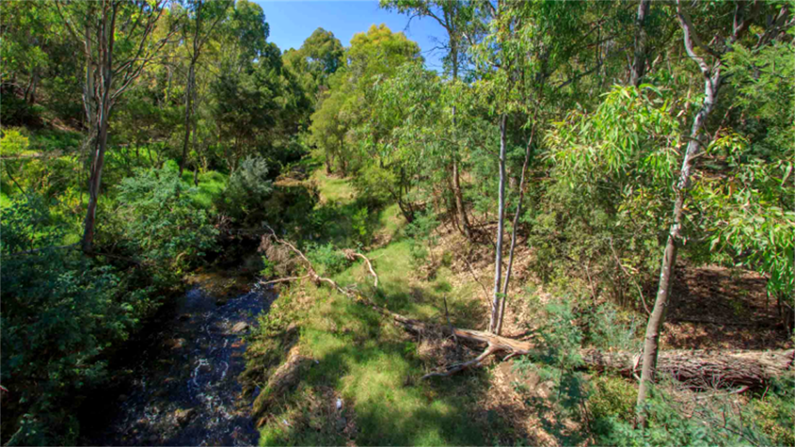 Darebin Creek Reserve landscape