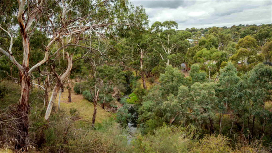 Fricker Hill Reserve landscape