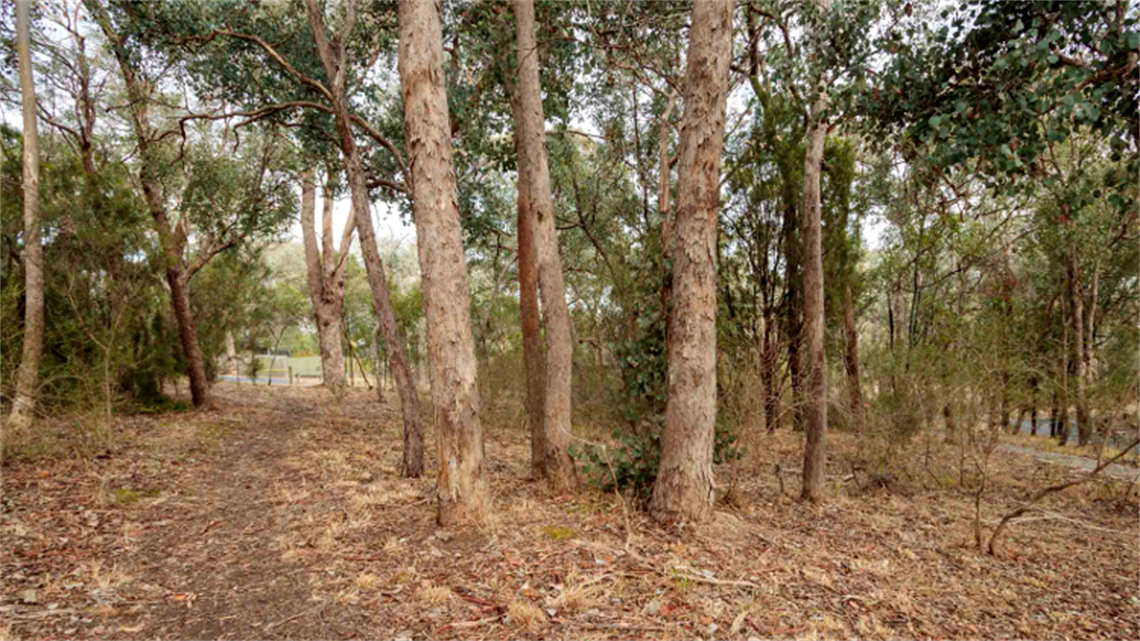 Glendale Reserve landscape