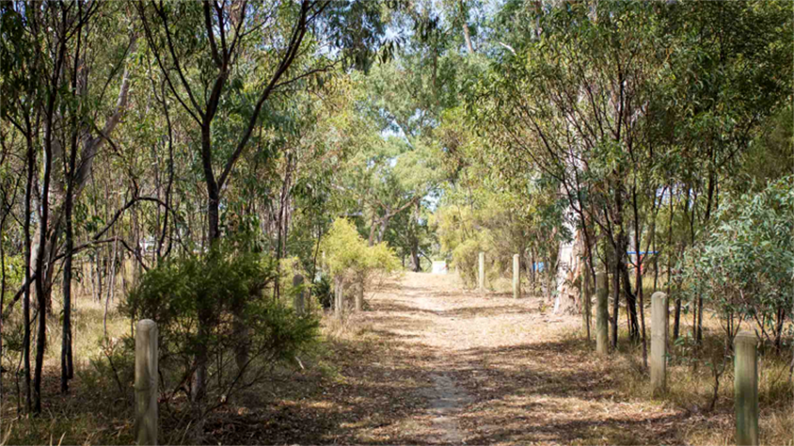 Greenwood Reserve landscape