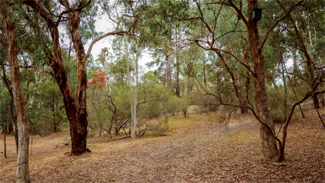 Kirwana reserve landscape