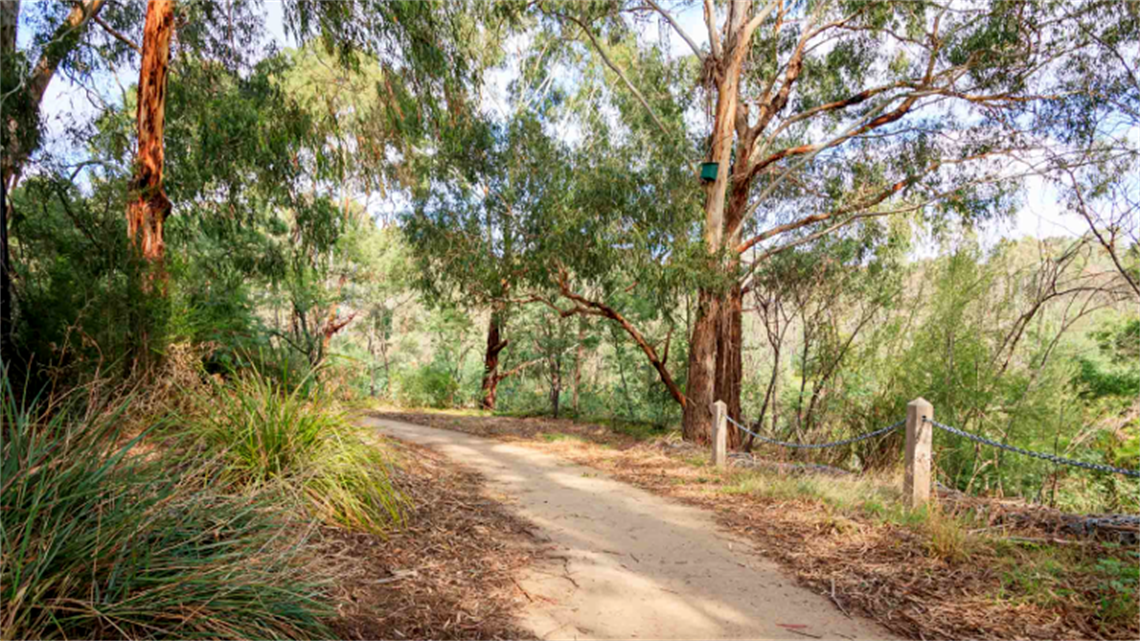 Manna Gum Walk landscape