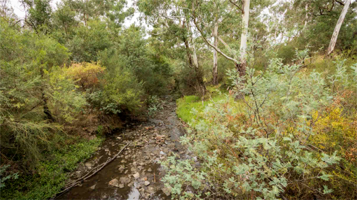 Montmorency Park landscape