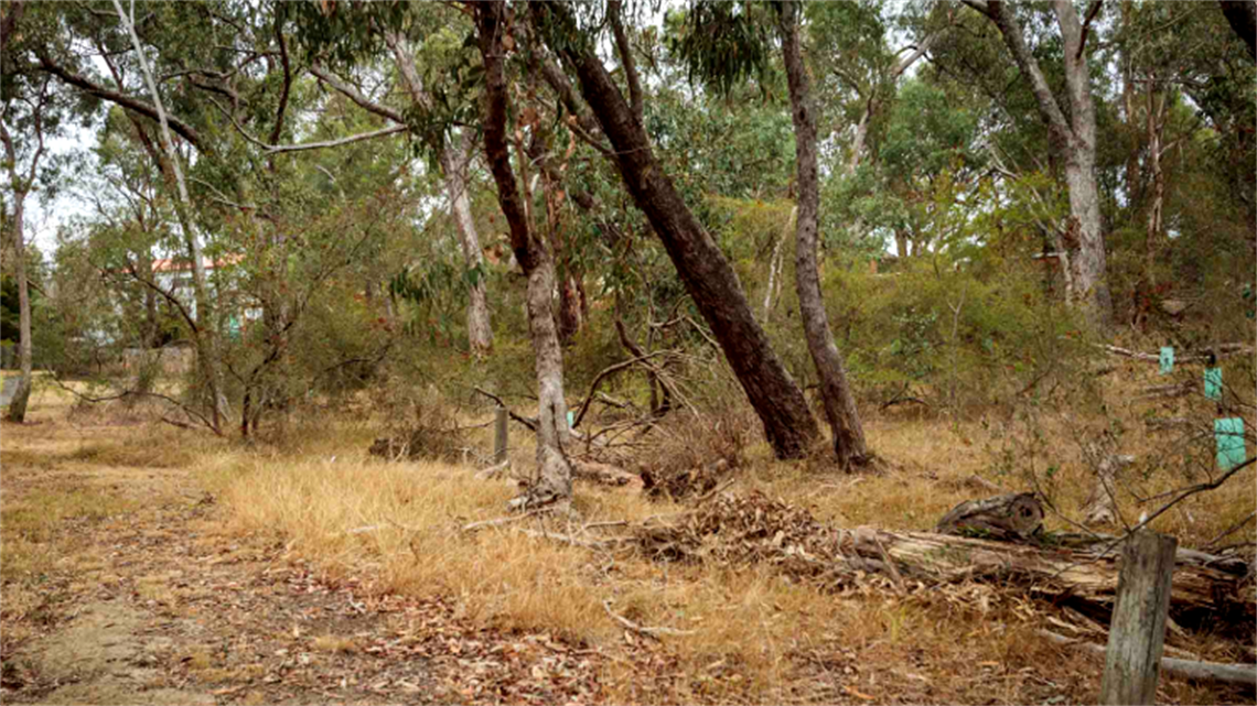 Olympic Reserve landscape