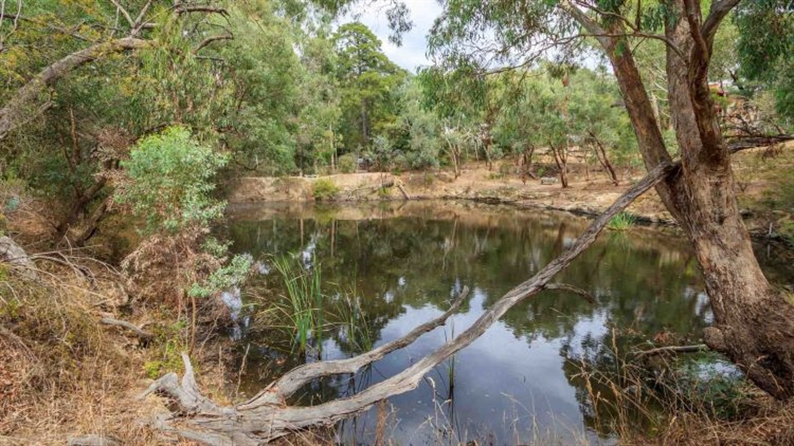 Pecks Dam Reserve landscape