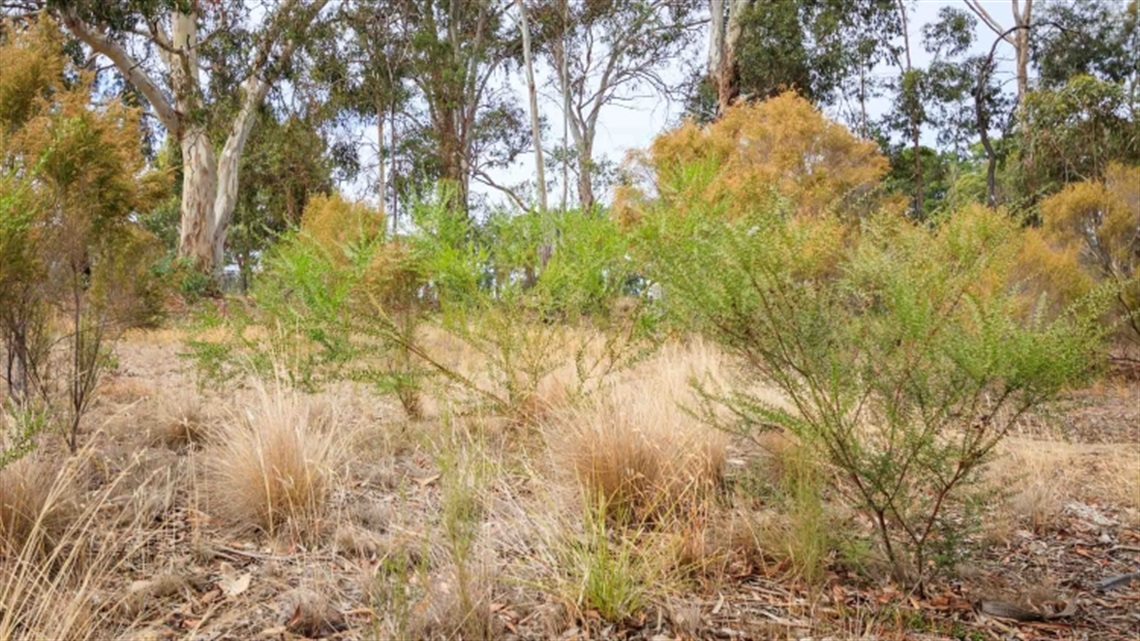 Price Park landscape