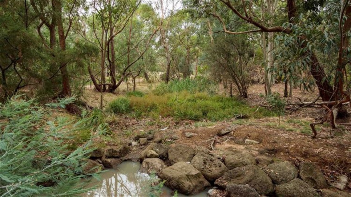 Rosanna Parklands landscape