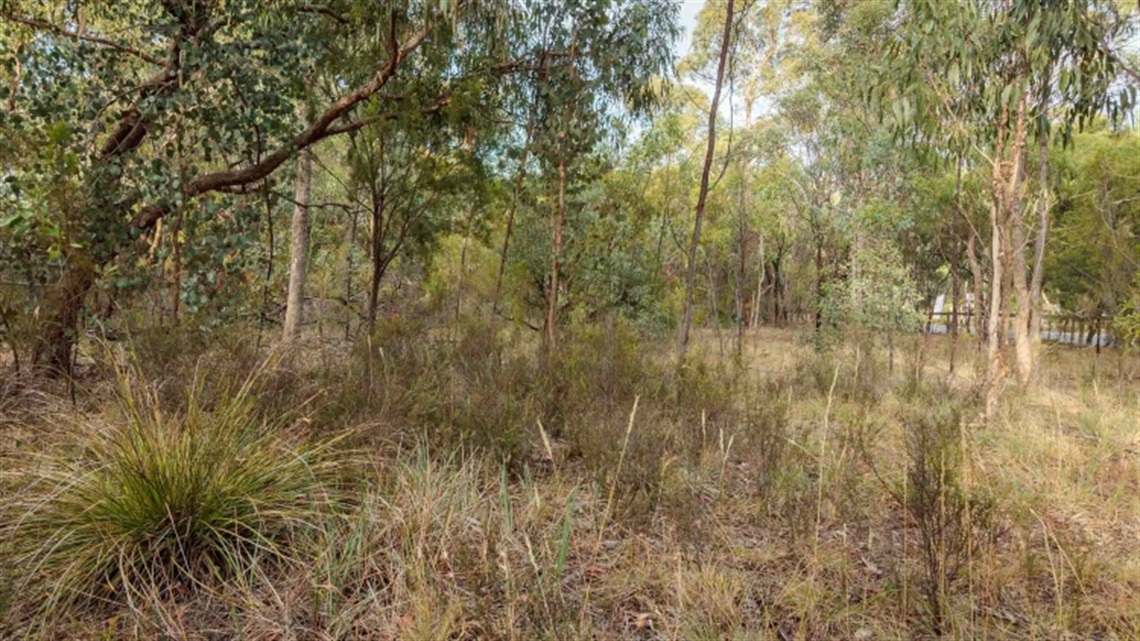 Simonelli Reserve landscape