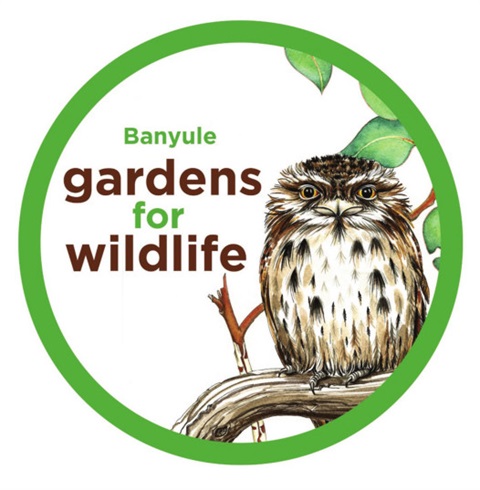 Tawny frogmouth in G4W logo