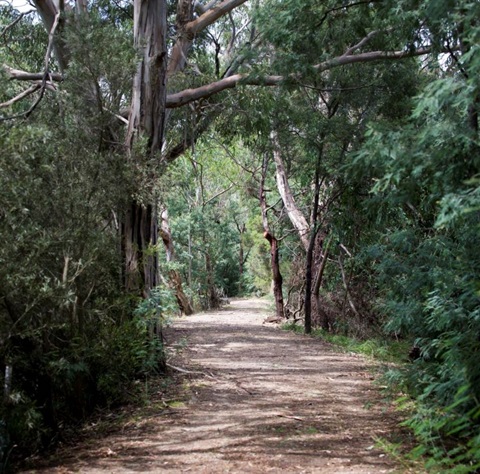 Nature path