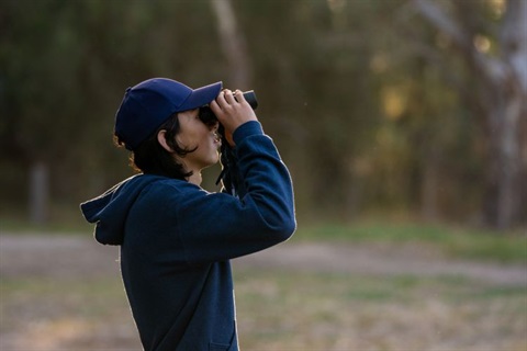 Youth watching birds with binoculars