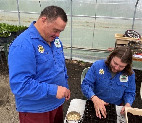 Person with disability engaging in seedling propagation.