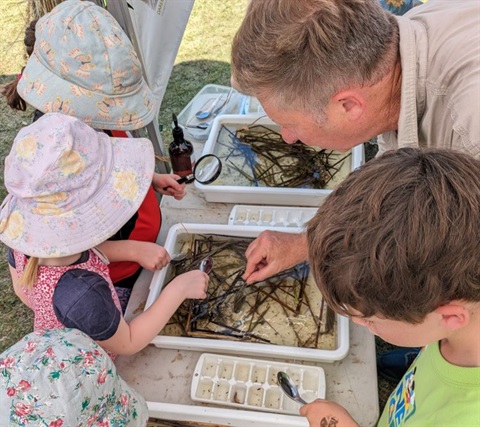 Children identifying waterbugs