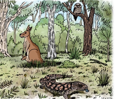 Drawing of animals in the bush