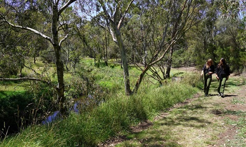 2 people walking on a bush path