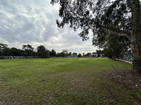 Bell Bardia Project site, Heidelberg West; looking across the project site showing current conditions with substantial grassed areas and scattered trees along the fences and property boundary