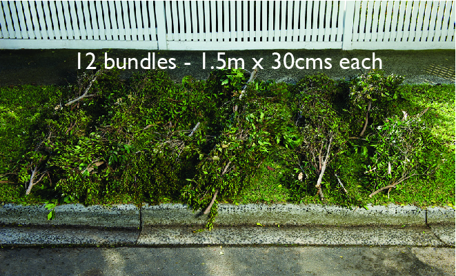 12 bundles of branches, tied at both ends, laid out on a nature strip